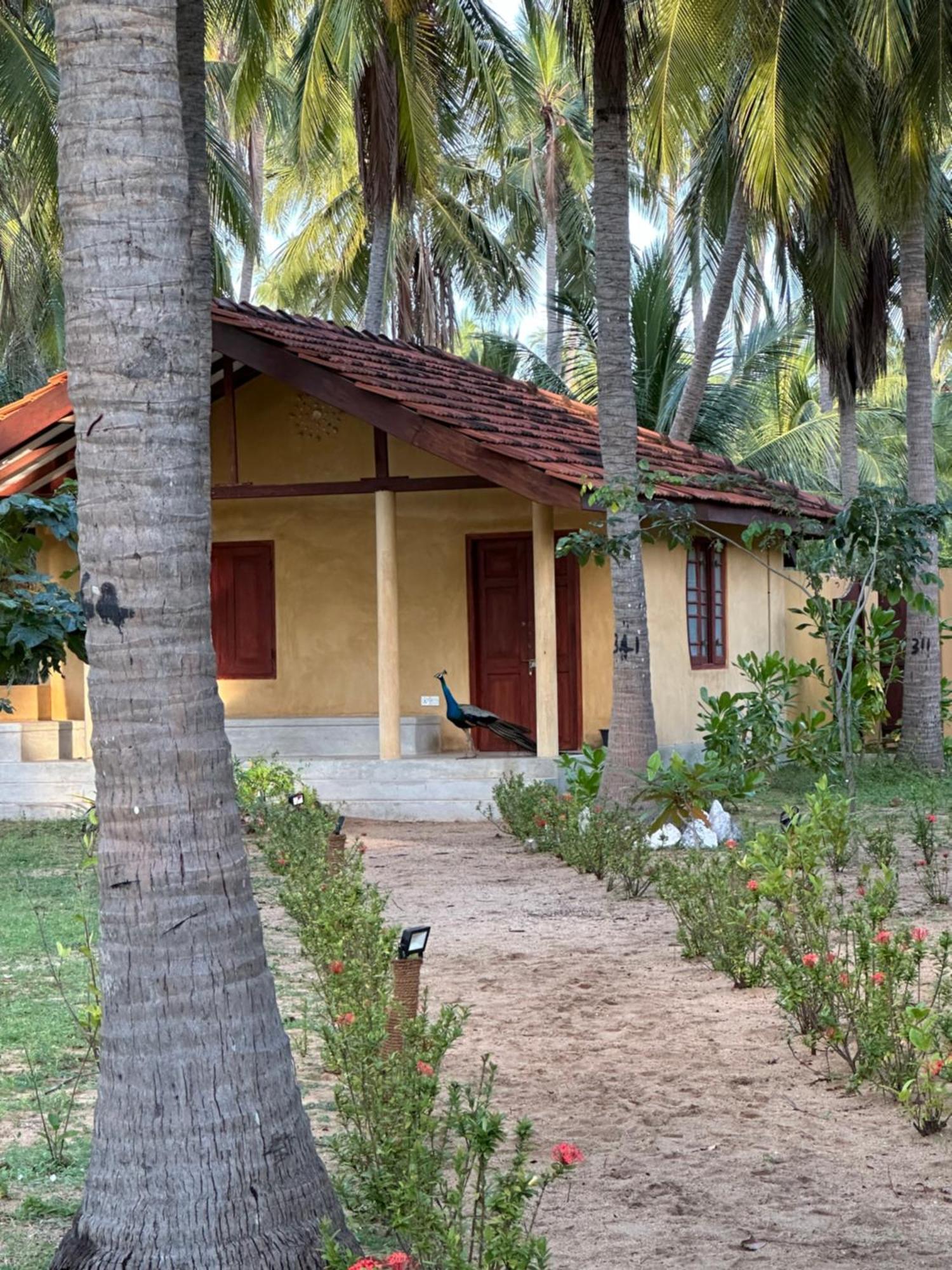 Kitelantis Hotel And Resort Kalpitiya Bagian luar foto