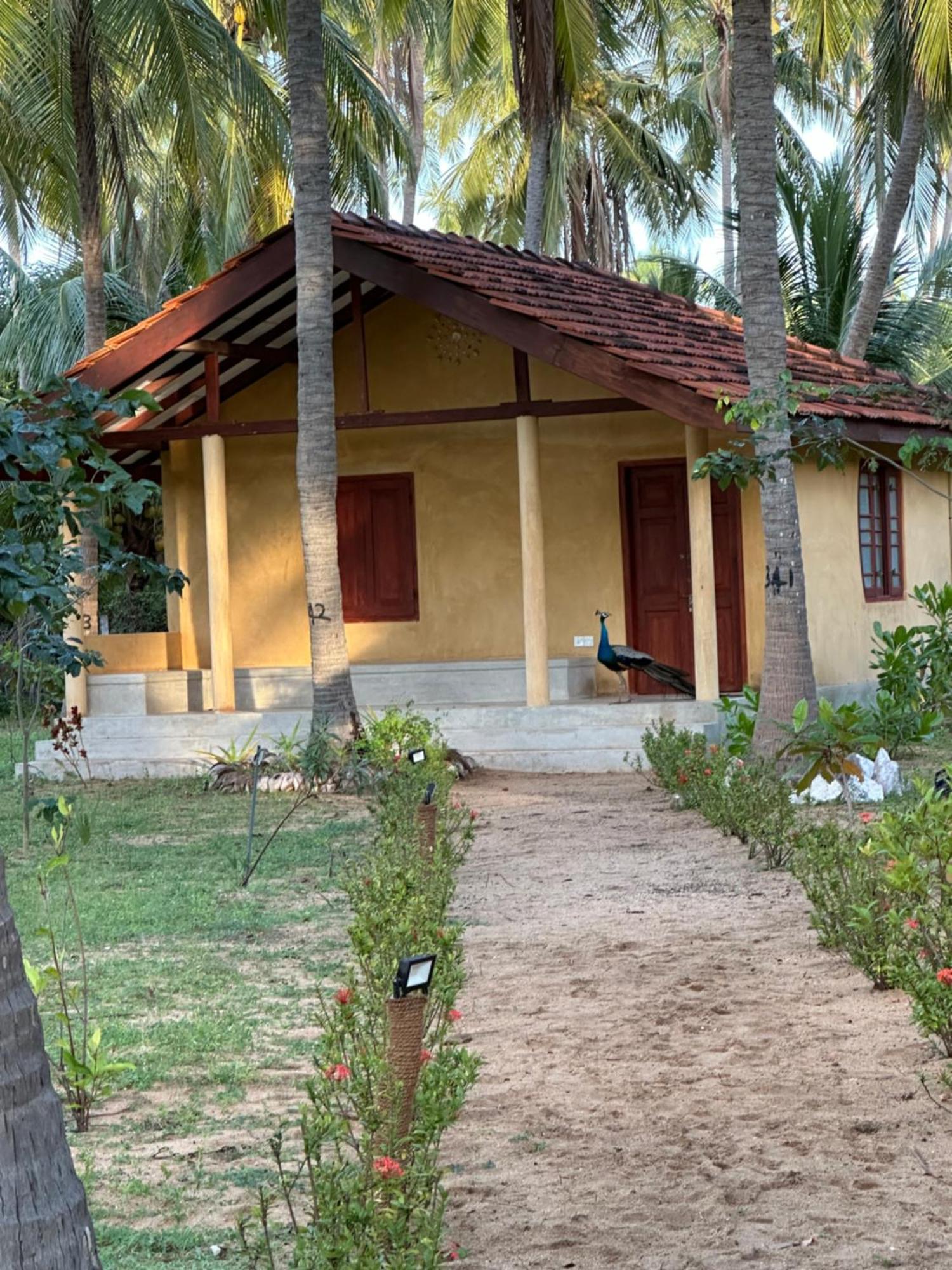 Kitelantis Hotel And Resort Kalpitiya Bagian luar foto