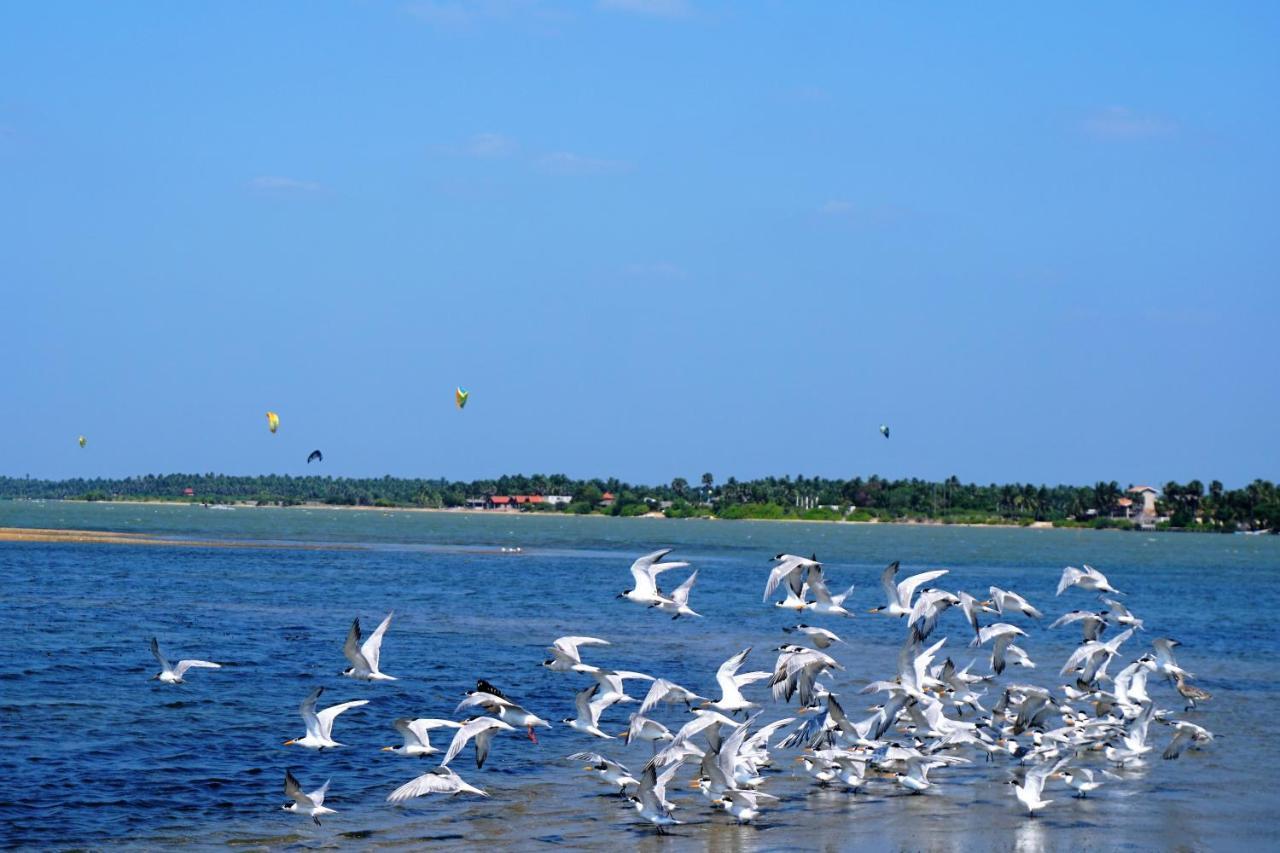 Kitelantis Hotel And Resort Kalpitiya Bagian luar foto